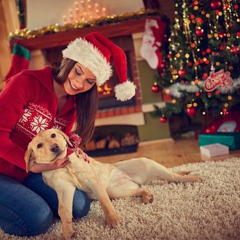Cozy Christmas inspiration, photo 8