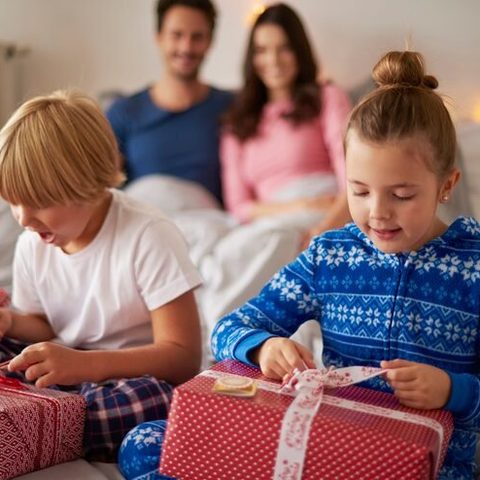 Family Chaos Christmas inspiration, photo 6